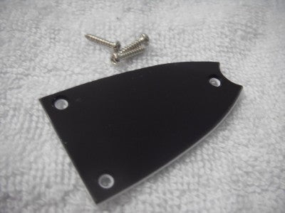 Truss Rod Cover Blank for hollowbody